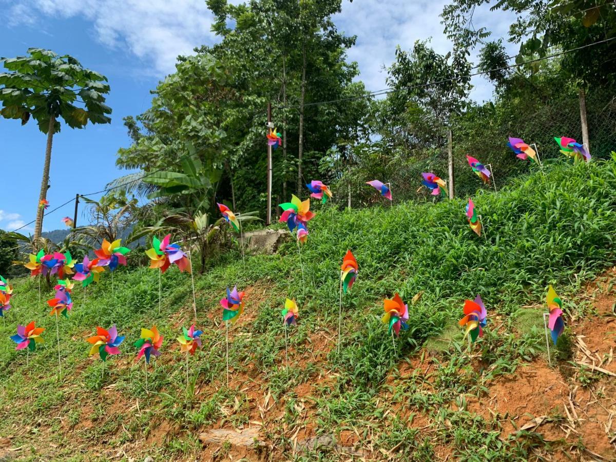 Happy Paradise Kampung Janda Baik Exterior foto